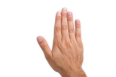 hand top view isolated stock  pictures royalty  images