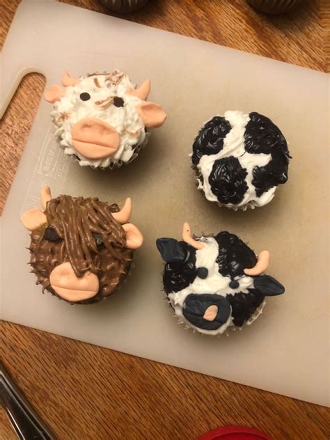 Cow cupcakes | Cow cupcakes, Homemade cakes, Homemade