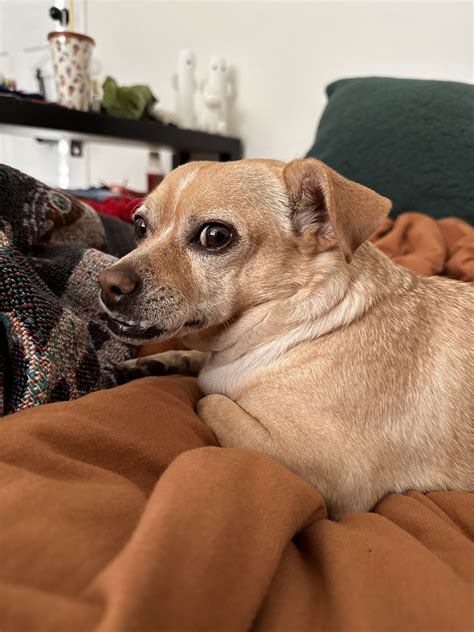 Tay on Twitter: "Why am I now finding out the weird tasting pistachios