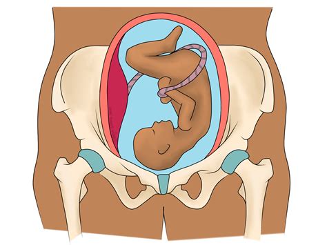 SPD and PGP: Pelvis Pain in Pregnancy - Beth Forrest Osteopathy