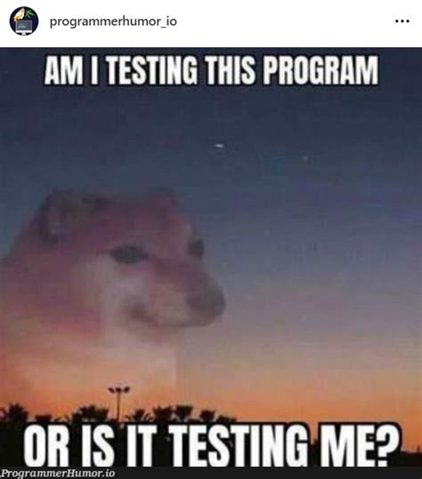 testingtimes programmerhumorio