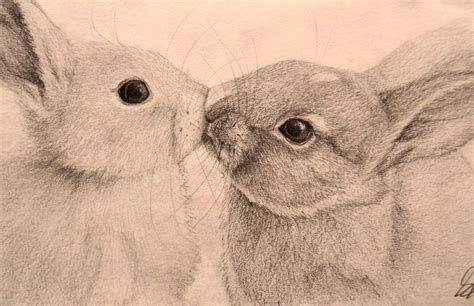 bunny rabbit drawing kiss | Rabbit drawing, Drawings, Character ...