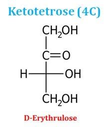 Monosaccharides Short Lecture Notes | EasyBiologyClass