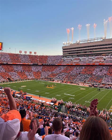 Summer Cummings (@jamiesummercarol) • Instagram photos and videos