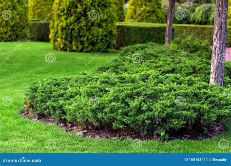 Greenery Landscaping of a Well Groomed Park. Stock Image - Image of ...