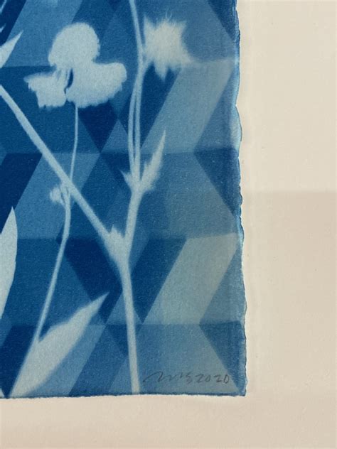Julia Whitney Barnes, Cyanotype Painting (Anemones, Rose of Sharon