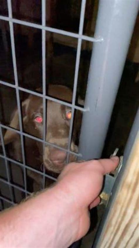 Social media users react to the latest mallory murdaugh evidence 24