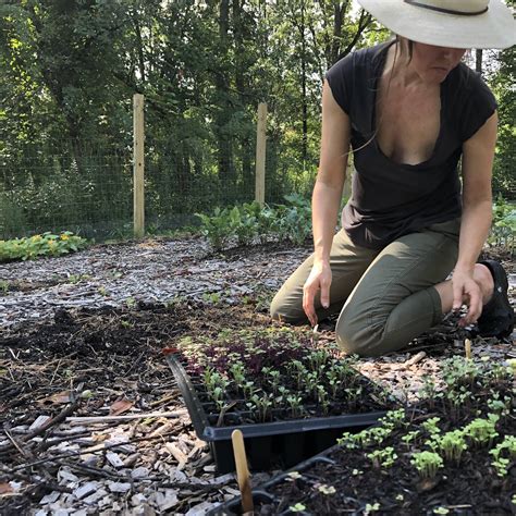 Post from THE NAKED GARDENER