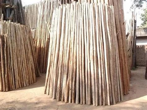 wooden pole wooden pole stick latest price manufacturers suppliers