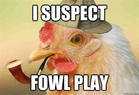 20 Chicken Memes That Are Surprisingly Funny - SayingImages.com