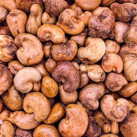 cpt corp vietnam cashew oganic cashew  cpt corp  borned