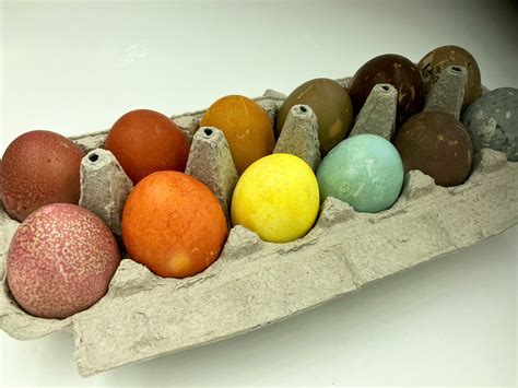 Dye Eggs Naturally | Dr. Russell Jaffe