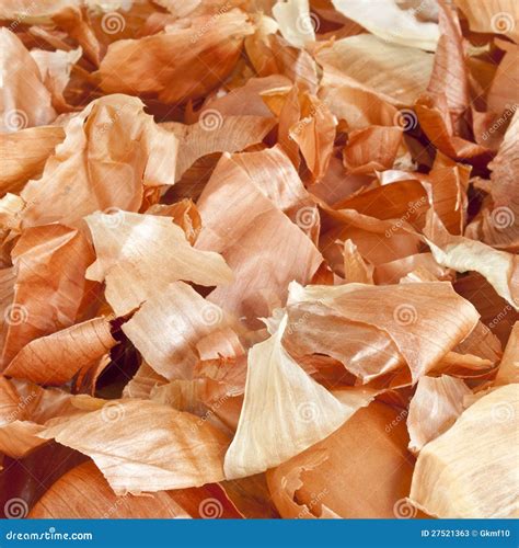 Onion skin stock image. Image of natural, background - 27521363