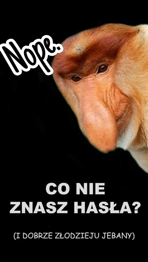 Tapeta na telefon "Janusz" | Śmieszne teksty żarty, Żarty matematyczne, Śmieszne tapety