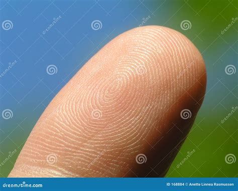 Forefinger stock photo. Image of index, skin, body, signal - 168884