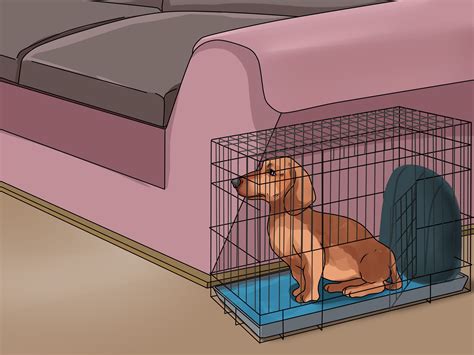 4 Ways to Crate Train Dachshunds | Crate training puppy, Puppy training