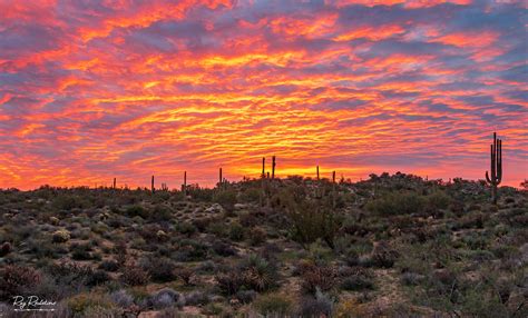 Desert Sunrise Skies In North Scottsdale Arizona [3000 x 1813] [OC