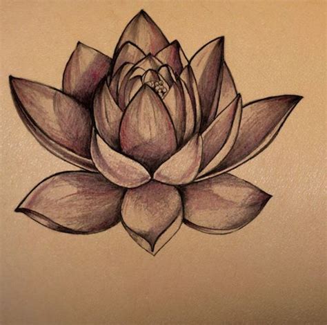 Lotus Tattoo Design, Flower Tattoo Designs, Flower Tattoos, Foot ...