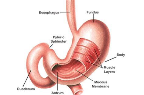 Dyspepsia