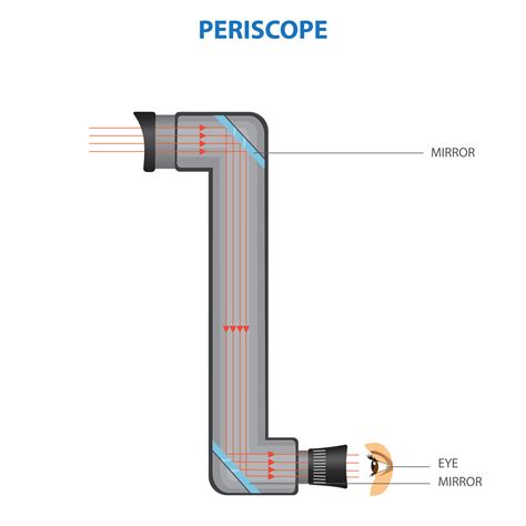 What Function Models The Height Of The Periscope at David Michael blog