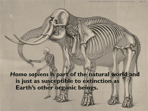PPT - Anthropogenic Mass Extinction PowerPoint Presentation, free ...