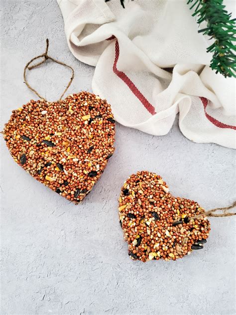 How To Make The Best Homemade Bird Seed Ornaments