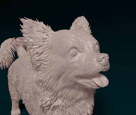 🐕 Chihuahua long haired 06・ STL File for 3D printing・Cults