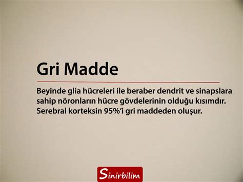 gri madde sinirbilim