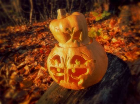 This year my jack-o’-lantern has a butterfly on its nose 🎃🦋 | Lesbians