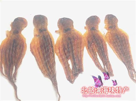 Купить Осьминог сушеный 包邮北海特产野生小号章鱼干货/八爪鱼干/八带鱼干/辅助追乳500g в интернет ...