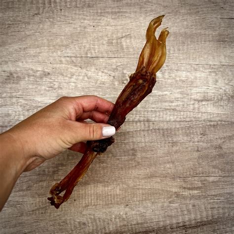 Beef Achilles Tendon | Barking Good Treats