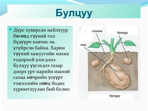 Lecture7