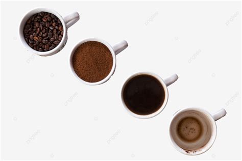 stages  coffee consumption   bean  ground  empty cup
