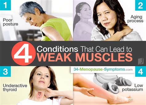 4 Conditions That Can Lead to Weak Muscles | Menopause Now