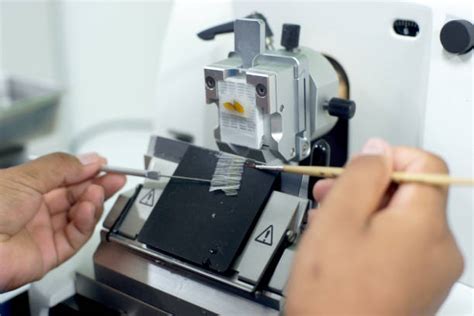 Microtome Stock Photos, Pictures & Royalty-Free Images - iStock