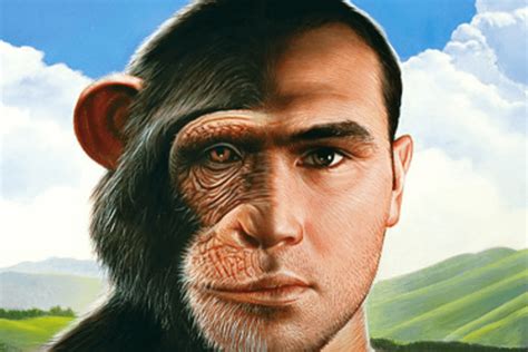 Evolution of Human - From Apes - History To Know