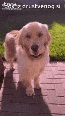 Walk Away Meme GIFs | Tenor