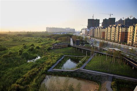 gallery  qunli stormwater wetland park turenscape