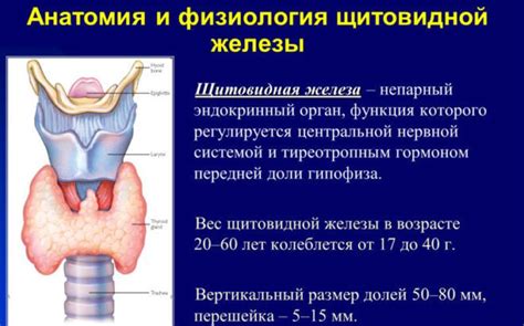 Гормоны — что это такое и какие бывают?
