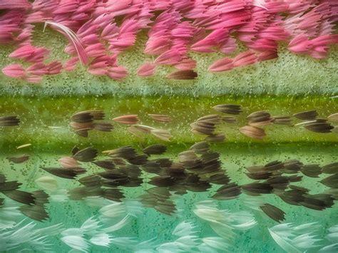 These images reveal a world that can’t be seen with the naked eye