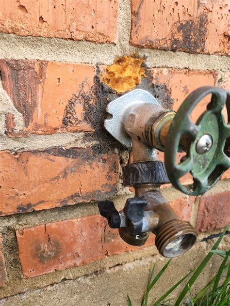 Leaking Outdoor Faucet; Replacement Kit for Faucet? : r/Plumbing