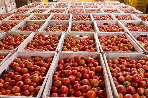 agricultural products stock  images  backgrounds