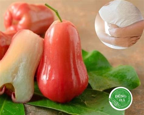 qua roi bao nhieu calo cach  roi dung cach khong  tang  nong