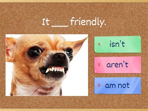 isnt arent   viktorina