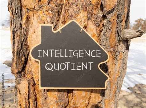 iq intelligence quotient symbol concept words iq intelligence quotient