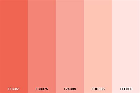 20+ Best Peach Color Palettes for 2024 (Colors That Go With Peach ...