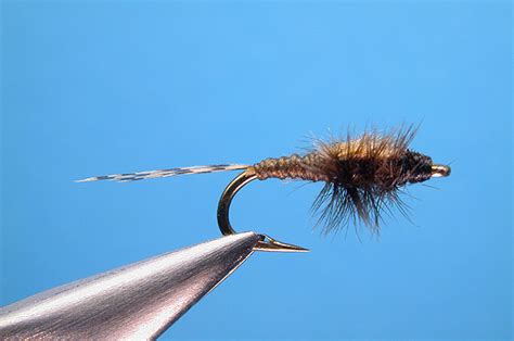 bwo nymph