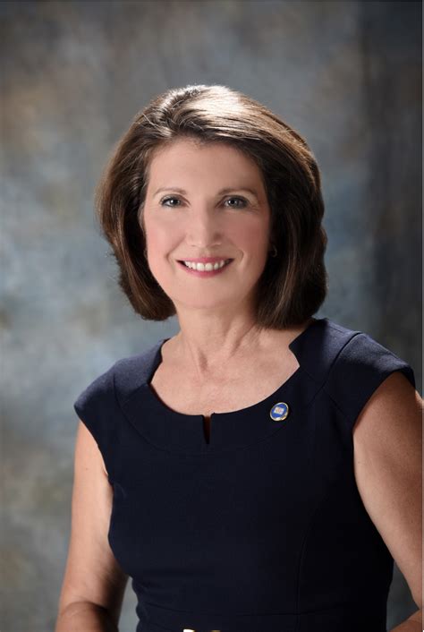Rep. Susan Lynn proposes Restore Trust in Public Health Messaging Act