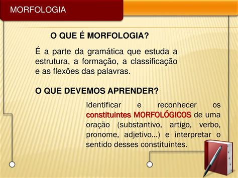 O Que A Morfologia Estuda - PPT - MORFOLOGIA PowerPoint Presentation, free download - ID:6874577