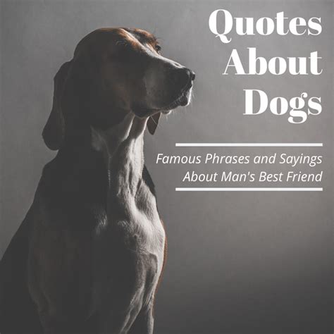 famous quotes  dogs holidappy